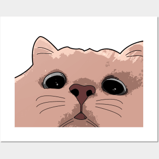 Cute cat Posters and Art